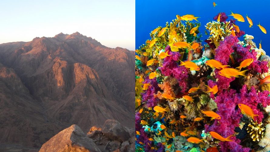 エジプト視察(9)番外編：Sharm El Sheick – モーセの十戒とサンゴ礁