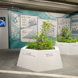 銀座ソニーパーク展”人類の未来の研究”の拡張生態系展示に協力