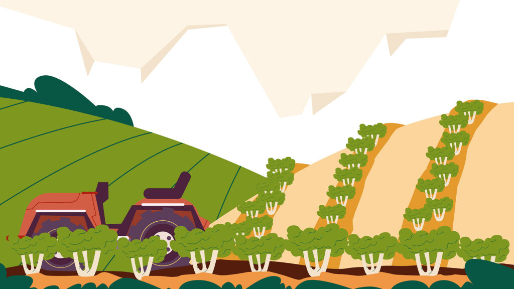 現代的な農業の風景